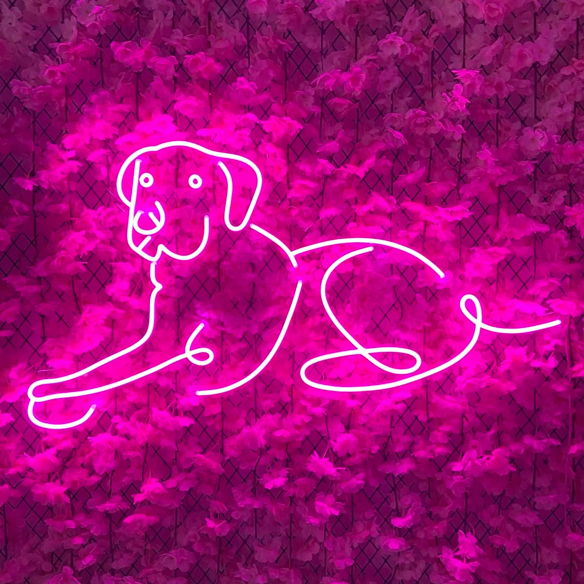 Labrador-Retriever-Dog-Neon-Sign-HAPPYNEON_de235784-172b-418b-904a-78d1ef172538